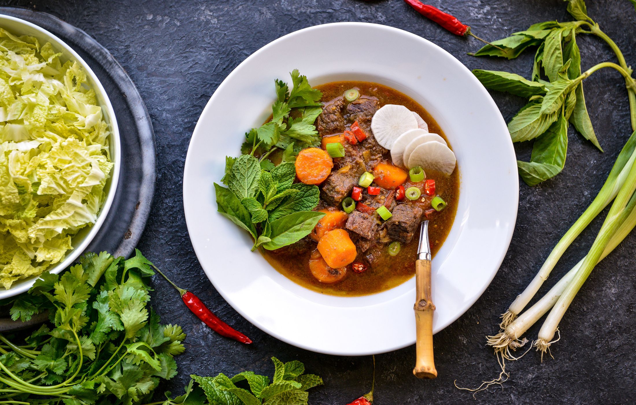 Vietnamese Beef Stew (Bo Kho)-1